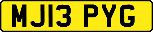 MJ13PYG