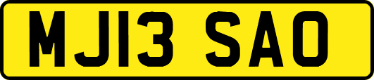 MJ13SAO