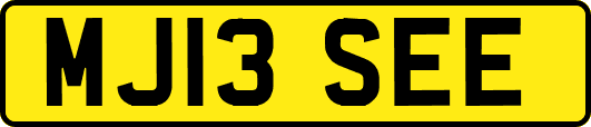 MJ13SEE