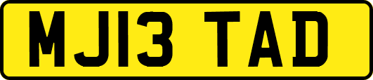 MJ13TAD