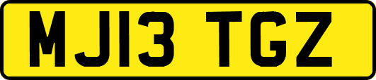 MJ13TGZ