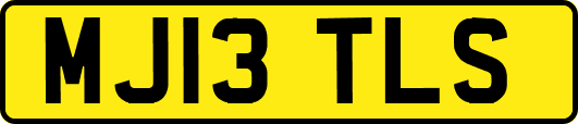 MJ13TLS