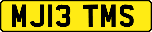 MJ13TMS