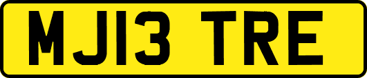MJ13TRE