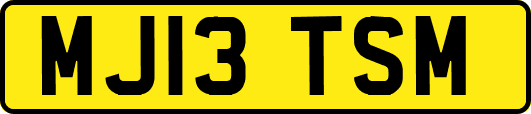 MJ13TSM