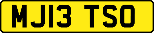 MJ13TSO