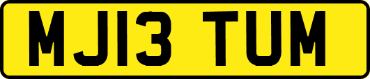 MJ13TUM
