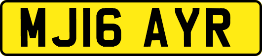 MJ16AYR