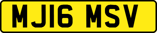 MJ16MSV
