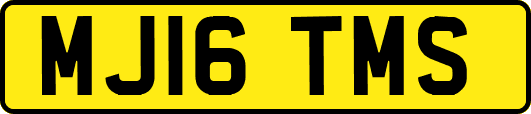 MJ16TMS