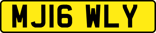 MJ16WLY