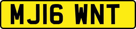 MJ16WNT