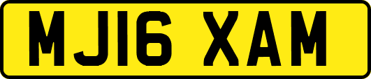 MJ16XAM