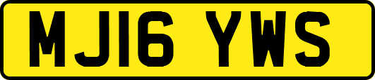 MJ16YWS