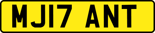MJ17ANT