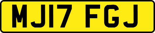 MJ17FGJ