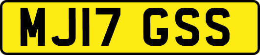 MJ17GSS
