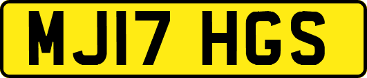 MJ17HGS