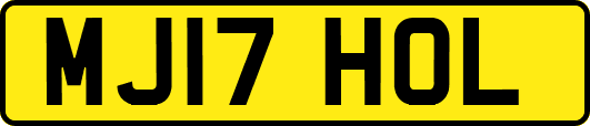 MJ17HOL