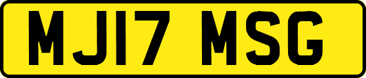 MJ17MSG