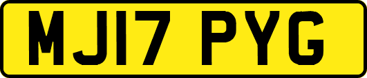 MJ17PYG