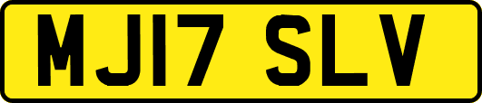 MJ17SLV