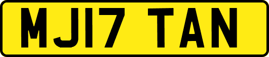 MJ17TAN