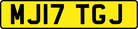 MJ17TGJ
