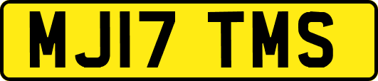 MJ17TMS