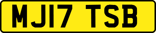 MJ17TSB
