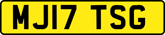 MJ17TSG