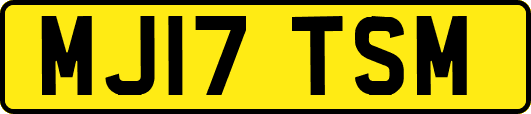 MJ17TSM