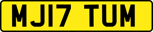 MJ17TUM
