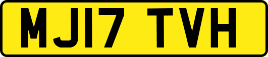 MJ17TVH