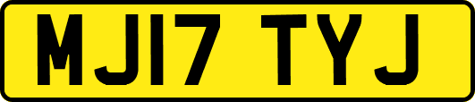 MJ17TYJ