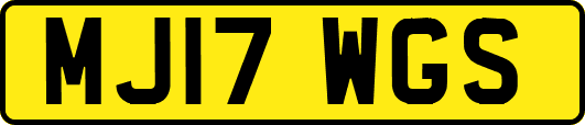 MJ17WGS