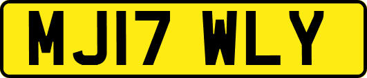 MJ17WLY