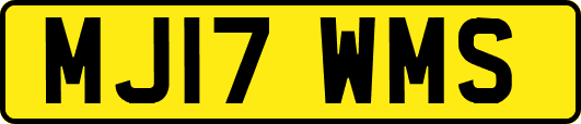 MJ17WMS