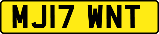 MJ17WNT