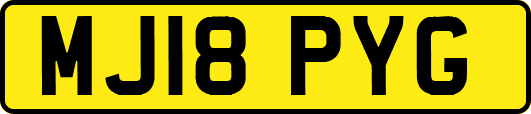 MJ18PYG
