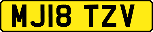 MJ18TZV
