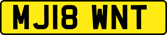MJ18WNT