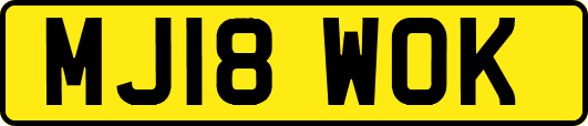 MJ18WOK