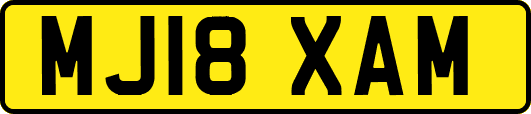 MJ18XAM