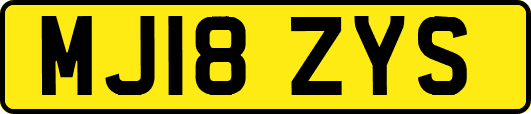 MJ18ZYS