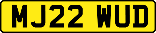 MJ22WUD