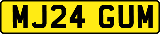 MJ24GUM
