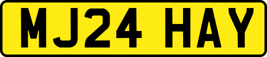 MJ24HAY