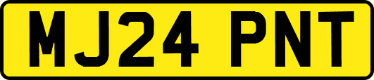 MJ24PNT