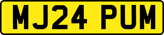 MJ24PUM